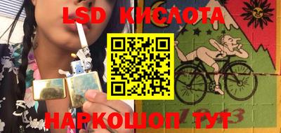спиды Новозыбков